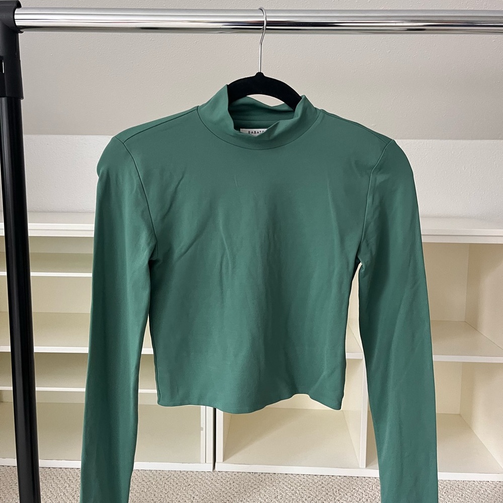 Aritzia Babaton Contour Turtle Neck top